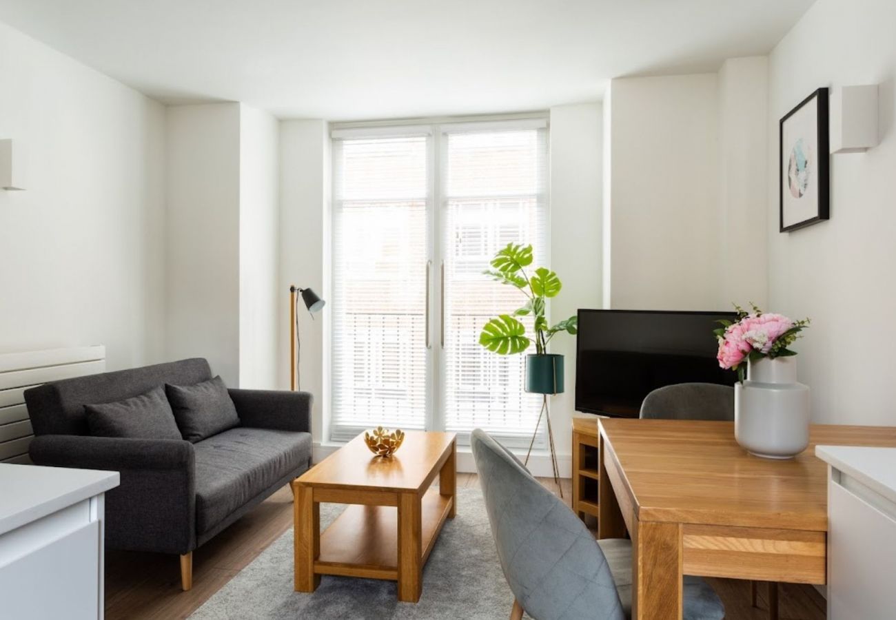 Studio in London - Vincent Square Stylish Studio Apartment 