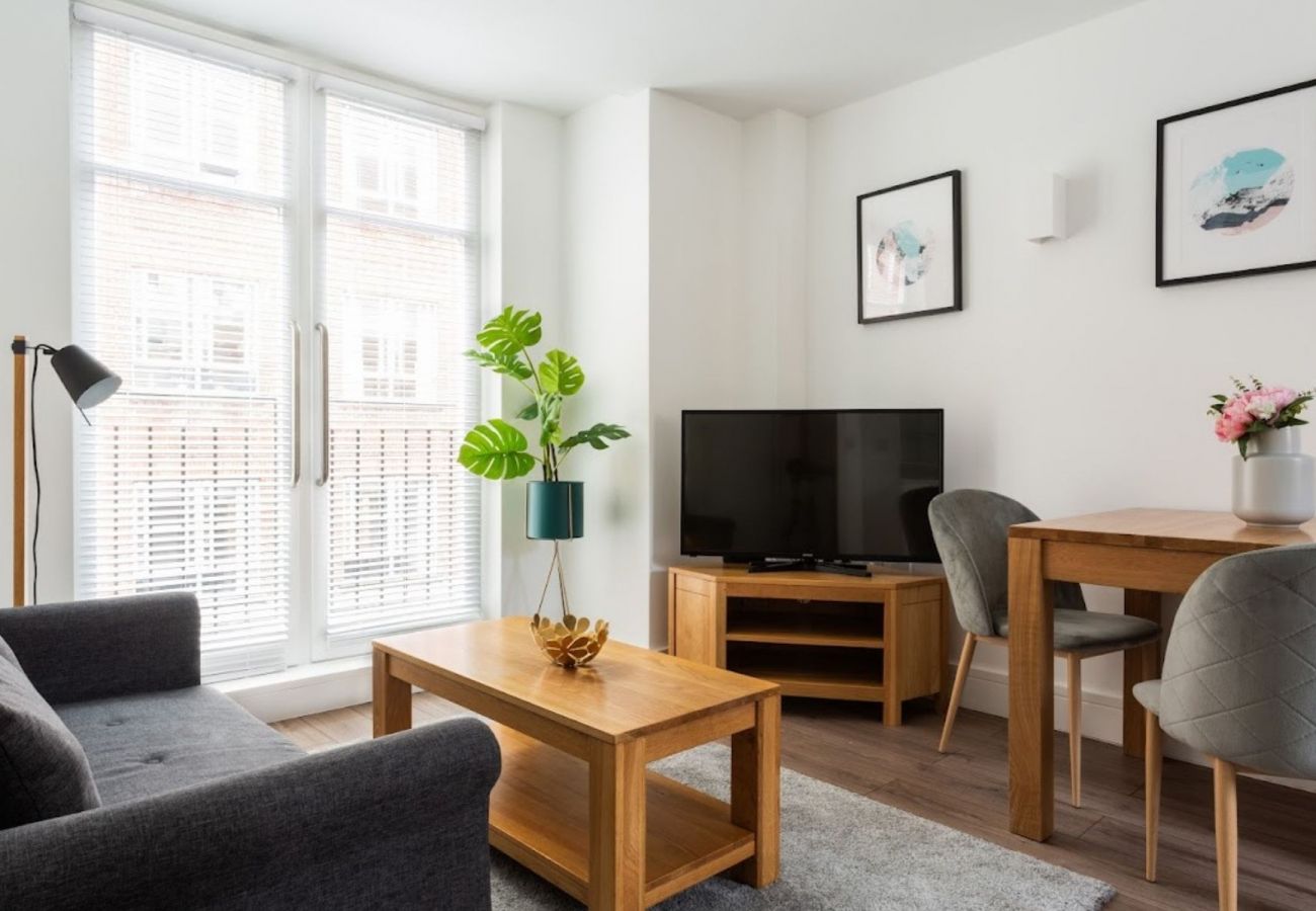 Studio in London - Vincent Square Stylish Studio Apartment 