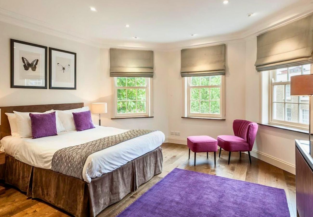 Apartment in London - Marylebone Contemporary One Bedroom Apartment 