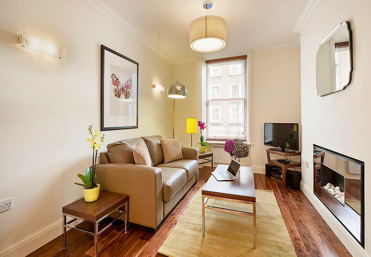 Apartment in London - Marylebone Contemporary One Bedroom Apartment 